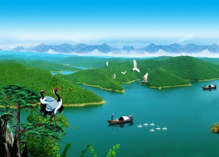 高性能全自动